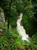 Bergengte van de Langouette - Gorges, rivier (de Sont) en bomen