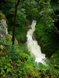 Bergengte van de Langouette - Gorges, rivier (de Sont) en bomen