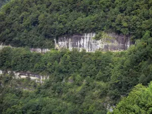 Bergengte van Nouailles - Rotswanden en bomen