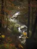 Bergengte van le Pont du Diable - Bomen met herfstkleuren en de rivier