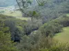 Bergengte van Sioule - Sioule rivier omzoomd met bomen en weiden