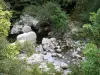 Bergengte van Tapoul - Parc National des Cevennes: River bekleed met vegetatie Trépalous