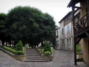 Bergerac - Plaats van Myrpe met zijn bomen en huizen in de vallei van de Dordogne