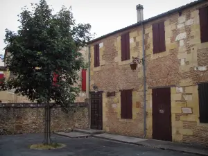 Bergerac - En boomhutten in het oude centrum, in de Dordogne vallei