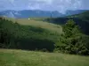 Bergkammenroute - Heuvels en bergen met bomen en weiden (Regionale Natuurpark van de Ballons des Vosges)