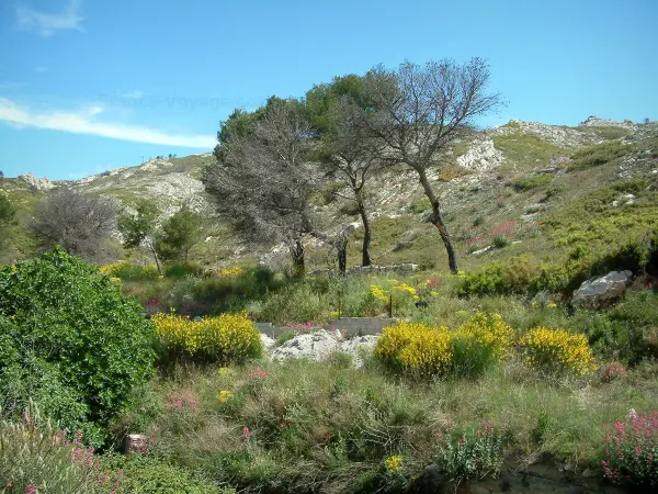 Die Bergkette Estaque - Führer für Tourismus, Urlaub & Wochenende in den Bouches-du-Rhône