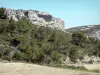 Bergmassiv Clape - Regionaler Naturpark Narbonnaise en Méditerranée: Felswände und Vegetation