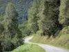 Bergpas van la Crouzette - Weg met bomen, tot Col de la Crouzette, in het Regionale Natuurpark van de Ariège Pyreneeën