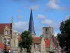 Bergues - Pointed tower and square tower of the ancient Saint-Winoc abbey, houses and trees