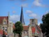 Bergues - A punta torre e la torre quadrata del abbazia di Saint-Winoc, case e alberi