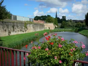 Bergues - Géraniums (fleurs) en premier plan, canal, remparts (fortifications, enceinte) de la ville fortifiée, tour pointue et tour carrée de l'abbaye Saint-Winoc et arbres
