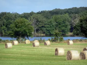 Berry landscapes - La Brenne Regional Nature Park: hay bales in a field, lake and trees along the water