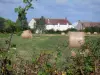 Berry landscapes - La Brenne Regional Nature Park: vegetation in foreground overlooking a farm and hay bales in a meadow