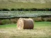 Berry landscapes - Straw bale, pond with water lilies and pasture