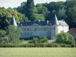 Berry landscapes - Field, trees, castle and forest