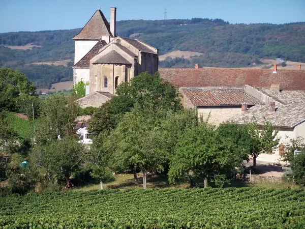 Berzé-la-Ville - Chapelle des Moines (chapelle romane), toits du village, arbres et champ de vignes ; dans le Mâconnais