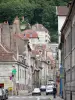 Besançon - Strade e le case della città vecchia