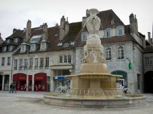 Besançon - Fontana, tiendas y casas de la Plaza de la Revolución