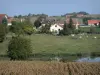 Besbre valley - River Besbre, herd of cows in a pasture, and houses in the Besbre valley