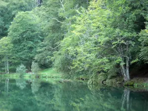 Bethmale valley - Bethmale lake and its bank planted with trees; in the Ariège Pyrenees Regional Nature Park, in Le Couserans area