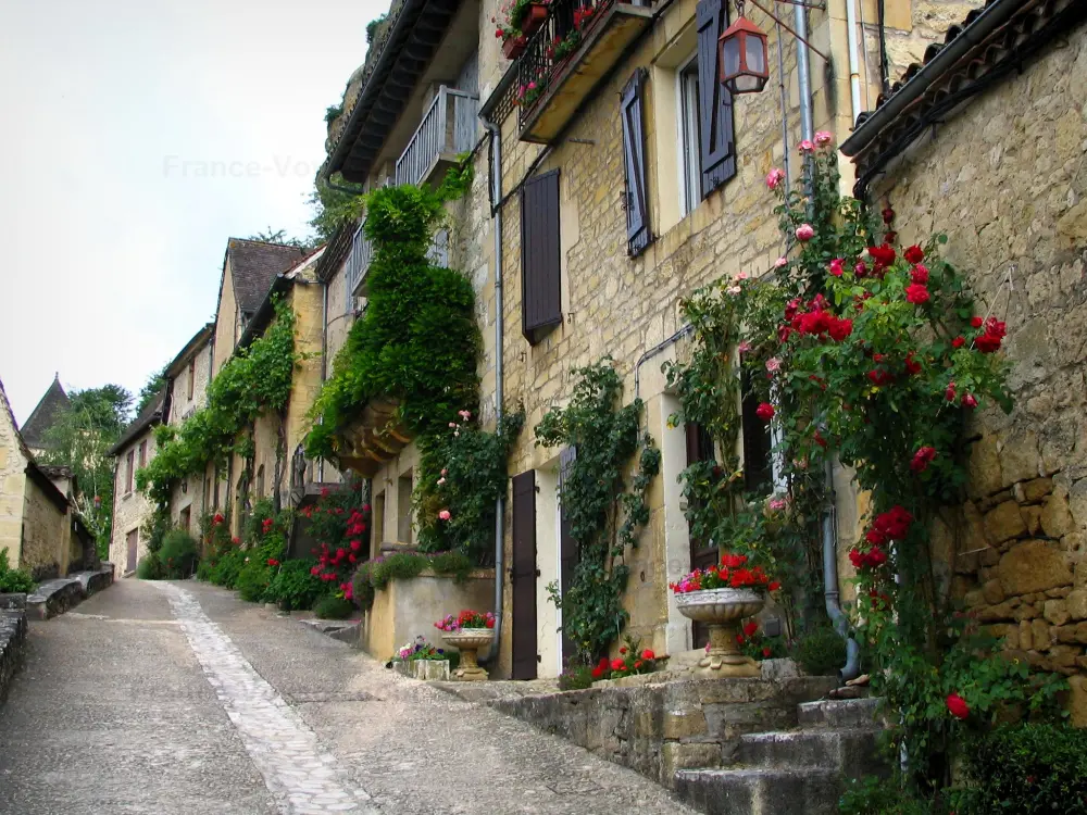 Beynac-et-Cazenac - Ruelle en pente du village et ses maisons en pierre aux façades décorées de rosiers grimpants (roses), dans la vallée de la Dordogne, en Périgord