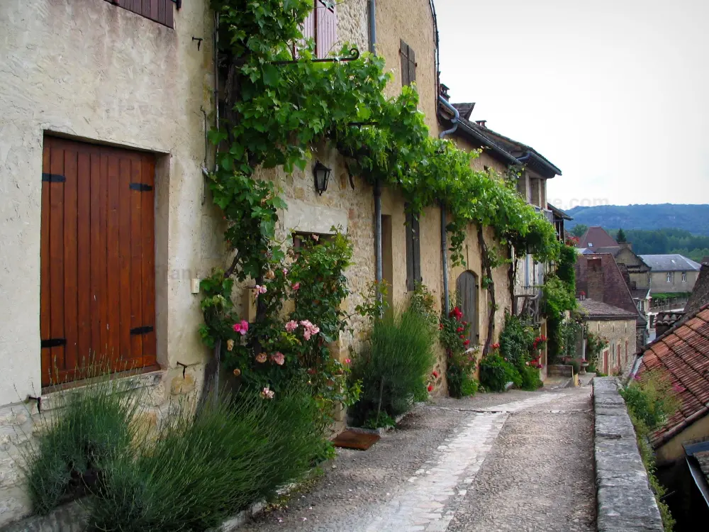 Beynac-et-Cazenac - Ruelle du village et ses maisons aux façades ornées de vignes et de rosiers grimpants (roses), dans la vallée de la Dordogne, en Périgord