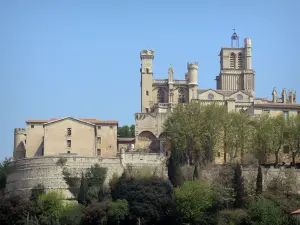 Béziers - Cathédrale Saint-Nazaire de style gothique et arbres