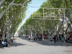 Béziers - Allées Paul-Riquet : promenade bordée de platanes (arbres)