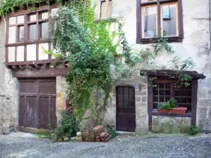 Billom - Viñedos que adornan una fachada de la casa: medieval (barrio medieval)