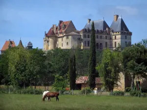Biron castle - Castle, trees and horses in a prairie, in Périgord