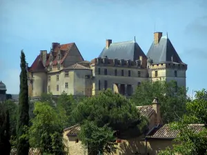 Biron castle - Castle, trees and roofs of houses, in Périgord