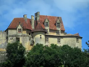 Biron castle - Castle and trees, in Périgord