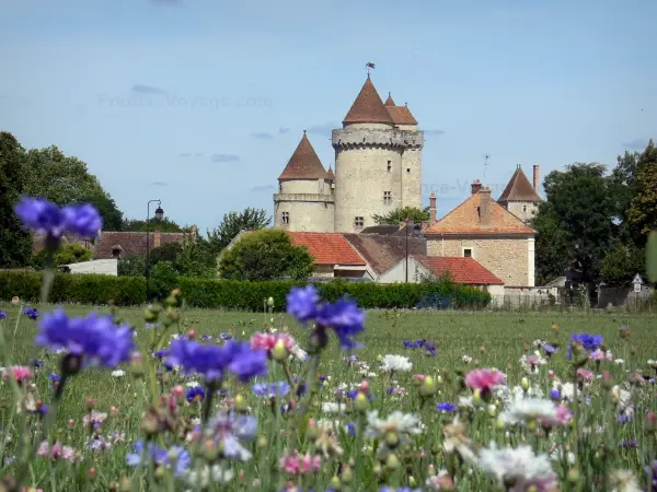 Blandy - Bloemen op de voorgrond met uitzicht op het middeleeuwse kasteel van Blandy-les-Tours en de dorpshuizen