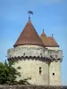 Blandy - Donjon du château fort médiéval