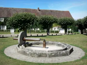 Blandy - Broyeur à pommes, arbres et maison du village