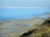 Bloemenkust - Gras, rotsen, zand strand en de Seine-estuarium