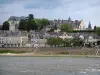 Blois - Castelo, casas da cidade e rio (o Loire)