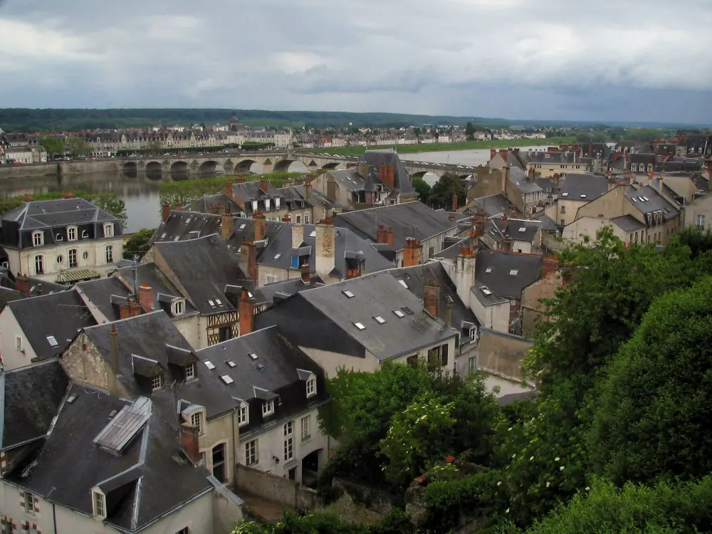 Blois - Vue sur les toits des maisons de la ville, le pont et le fleuve (la Loire)