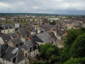 Blois - Blick auf die Dächer der Häuser der Stadt, die Brücke und den Fluss (die Loire)