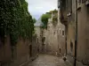 Blois - Rue en escalier et demeures de la vieille ville