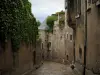 Blois - Rua pisou e mansões da cidade velha