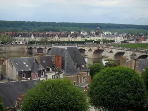 Blois - Bäume, Häuser der Stadt, und Brücke überspannt der Fluss (die Loire)