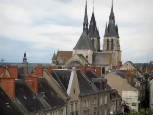 Blois - Saint-Nicolas church (former Saint-Laumer abbey church) and houses of the city