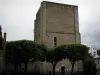 Blois - Beauvoir tower (keep)