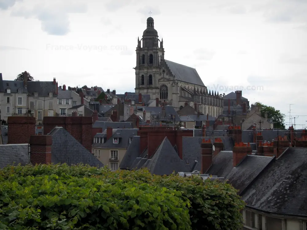 Blois - Cathédrale Saint-Louis, maisons de la vieille ville et arbres