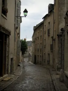 Blois - Paved street lined with houses