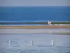 Blumenküste - Strand von Deauville (Badeort) bei Ebbe mit Seevögeln und Spaziergängern, Meer (der Ärmelkanal)