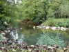 Blumenpark La Source - Quelle des Loiret und Bäume am Wasserrand