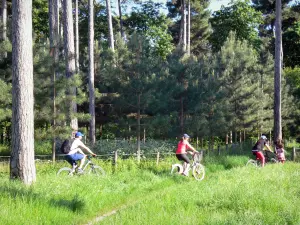 Bois de Boulogne - Pratique du vélo dans un cadre de verdure