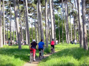 Bois de Boulogne - Balade à vélo sur un sentier ombragé d'arbres